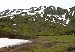 july3a70.jpg (26533 �o�C�g)