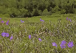 july3a72.jpg (37588 �o�C�g)