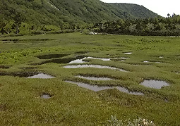 july3a79.jpg (29170 �o�C�g)