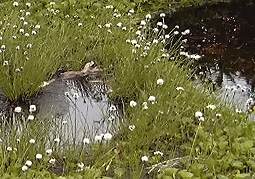 july3a98.jpg (35364 �o�C�g)