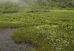 july6a1.jpg (31824 �o�C�g)