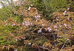 july6a2.jpg (45294 �o�C�g)