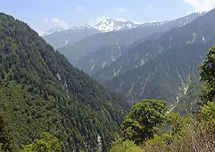 jun130.jpg (17691 �o�C�g)