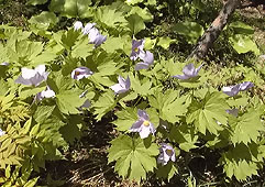 jun142.jpg (28199 �o�C�g)