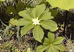 jun143.jpg (24205 �o�C�g)