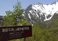 jun145.jpg (20897 �o�C�g)