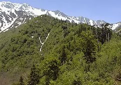 jun152.jpg (20830 �o�C�g)