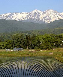 jun1a1.jpg (21521 �o�C�g)