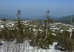 jun25.jpg (17724 �o�C�g)