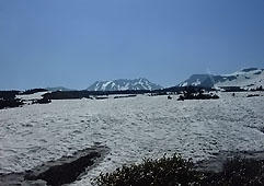 jun38.jpg (13129 �o�C�g)