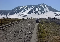 jun48.jpg (19680 �o�C�g)