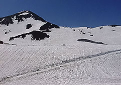 jun55.jpg (19035 �o�C�g)