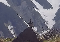 jun60.jpg (14087 �o�C�g)