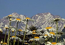 jun6a3.jpg (15314 �o�C�g)