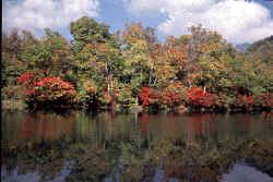 kamaike.jpg (7864 �o�C�g)