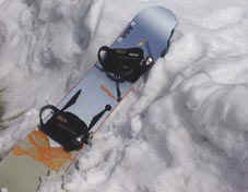 kuma ita4.jpg (8353 �o�C�g)