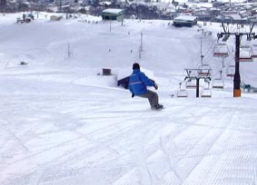 kumatyan.jpg (12813 �o�C�g)