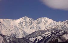 mar1a.jpg (8539 �o�C�g)