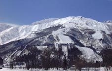 mar1hp1.jpg (9503 �o�C�g)