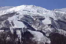 mar1hp2.jpg (10655 �o�C�g)