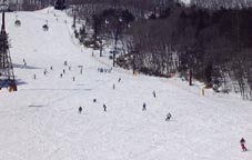 mar1iw2.jpg (8170 �o�C�g)