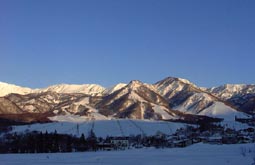 mar23a1.jpg (8453 �o�C�g)