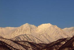 mar23a2.jpg (8527 �o�C�g)