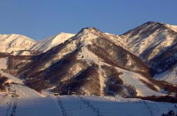 mar23a3.jpg (11117 �o�C�g)