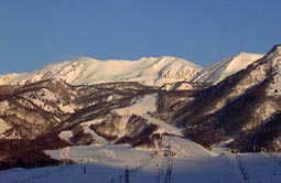 mar23a4.jpg (10362 �o�C�g)