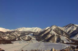 mar23a6.jpg (8953 �o�C�g)