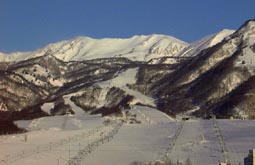 mar23a8.jpg (10654 �o�C�g)