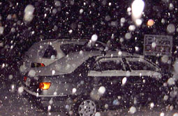 mar28p1.jpg (20937 �o�C�g)