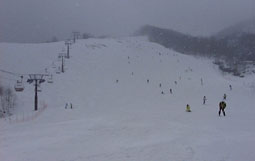 mar29p1.jpg (5609 �o�C�g)