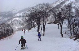 mar29p3.jpg (14400 �o�C�g)