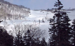 mar29p4.jpg (16761 �o�C�g)