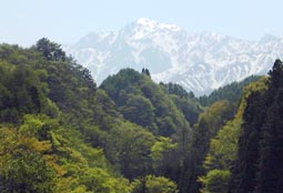 may12p2.jpg (10839 �o�C�g)