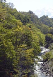 may12p3.jpg (14769 �o�C�g)