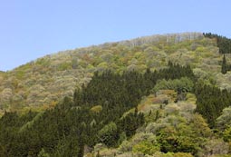 may12p4.jpg (11774 �o�C�g)