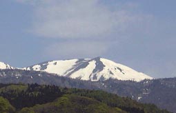 may13a1.jpg (7102 �o�C�g)