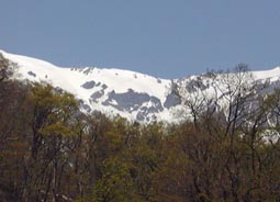 may13a11.jpg (10698 �o�C�g)