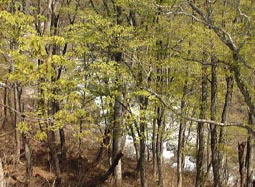 may13a12.jpg (22464 �o�C�g)