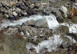 may13a13.jpg (18142 �o�C�g)