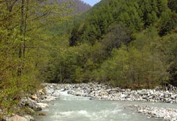 may13a16.jpg (15150 �o�C�g)