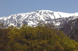 may13a18.jpg (12087 �o�C�g)