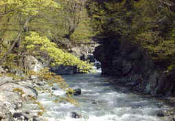 may13a3.jpg (16616 �o�C�g)