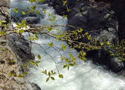 may13a4.jpg (17878 �o�C�g)