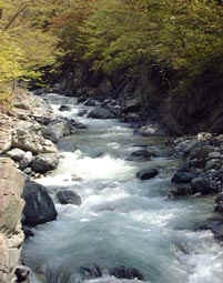 may13a5.jpg (17075 �o�C�g)