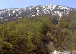 may13a8.jpg (14539 �o�C�g)