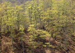 may13a9.jpg (17719 �o�C�g)