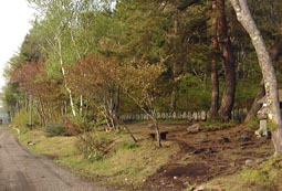 may16p1.jpg (15553 �o�C�g)